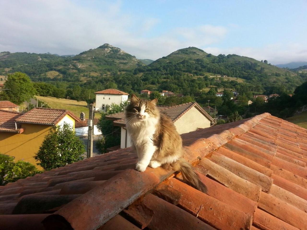 Posada El Pareon Sirviella Bagian luar foto